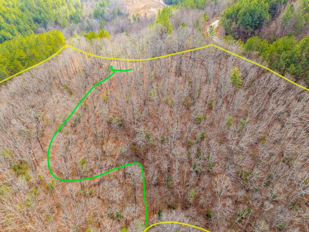 3.45 Ac Guy Eller Road Property Photo 21