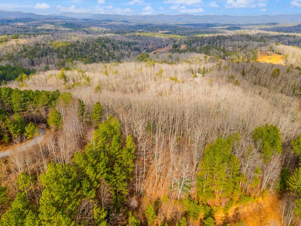 3.45 Ac Guy Eller Road Property Photo 25