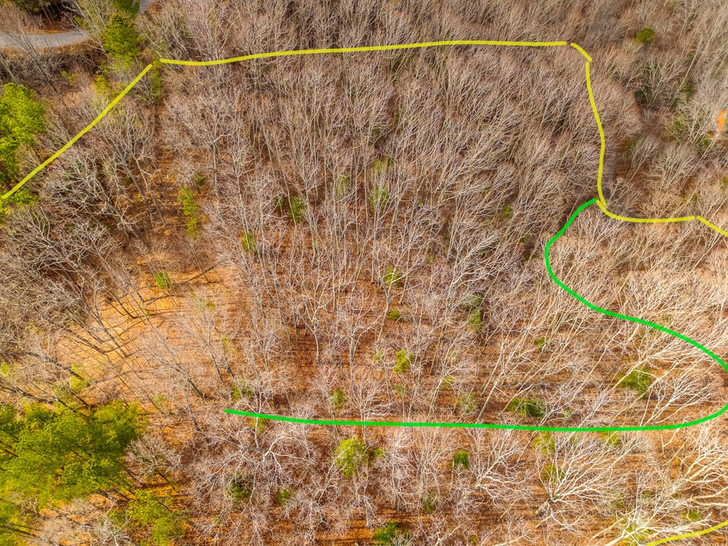 3.45 Ac Guy Eller Road Property Photo 29