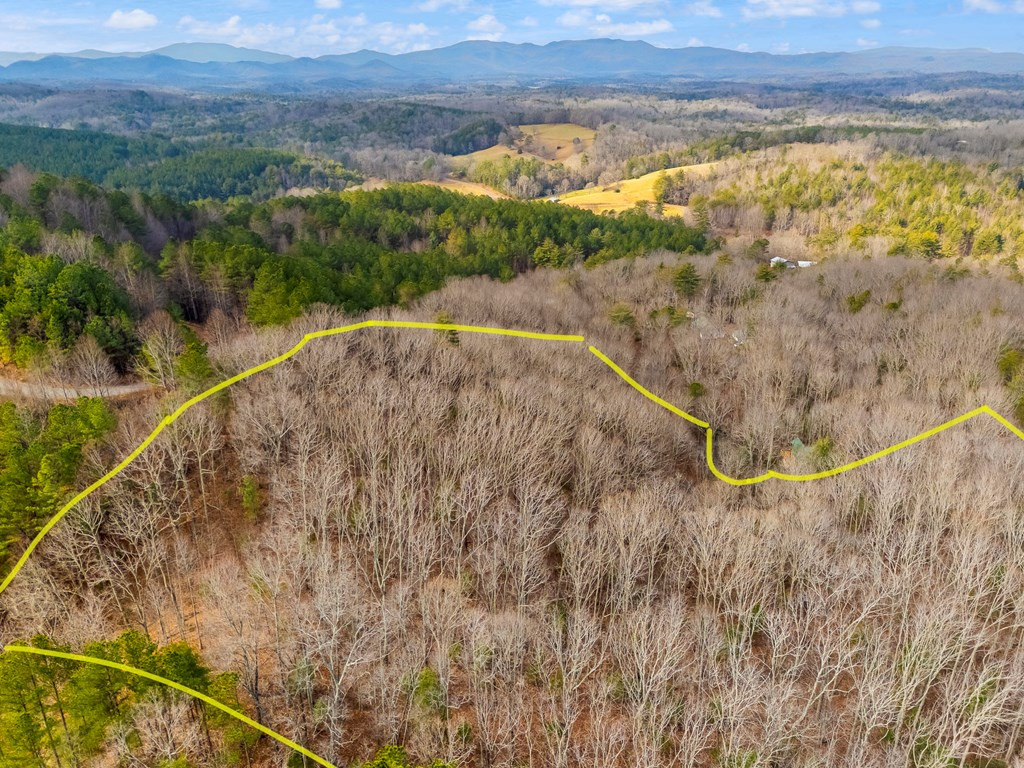3.45 Ac Guy Eller Road Property Photo 32