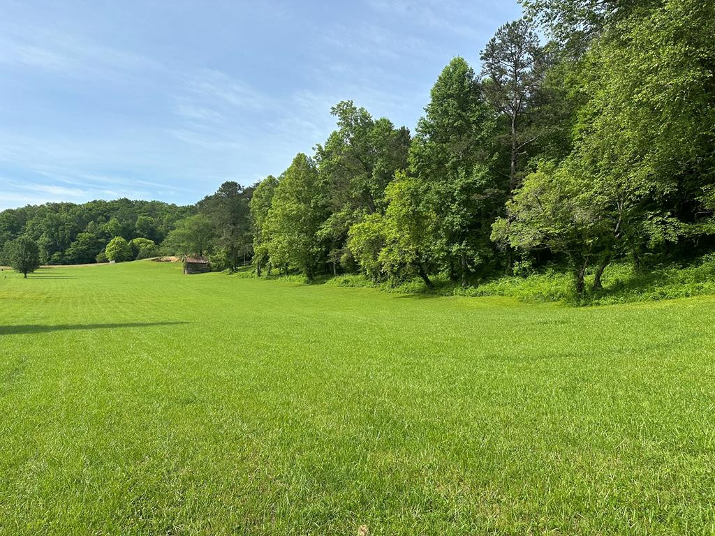 Lot 43 Brasstown Trails Property Photo 2