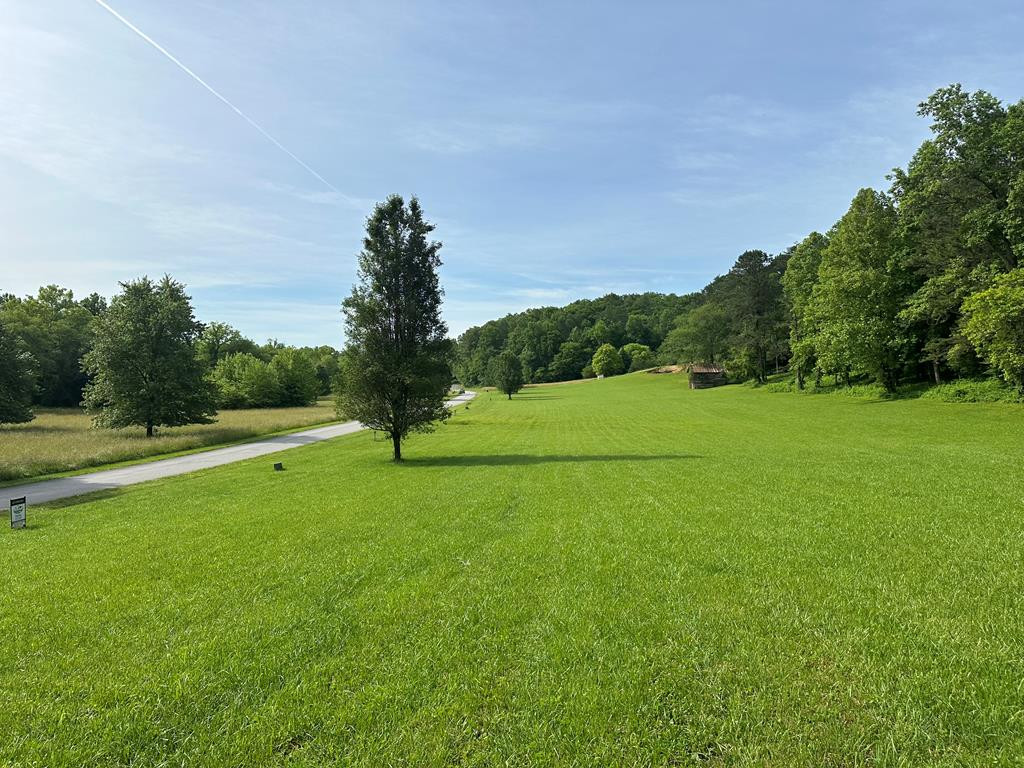 Lot 43 Brasstown Trails Property Photo 4