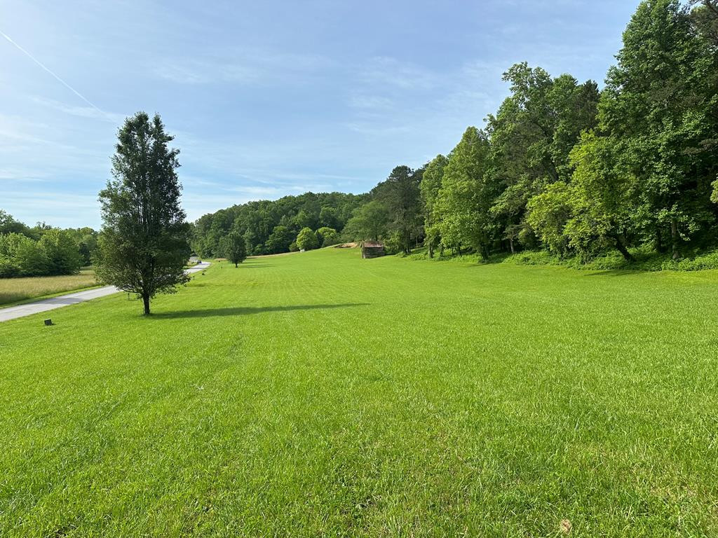 Lot 43 Brasstown Trails Property Photo 5