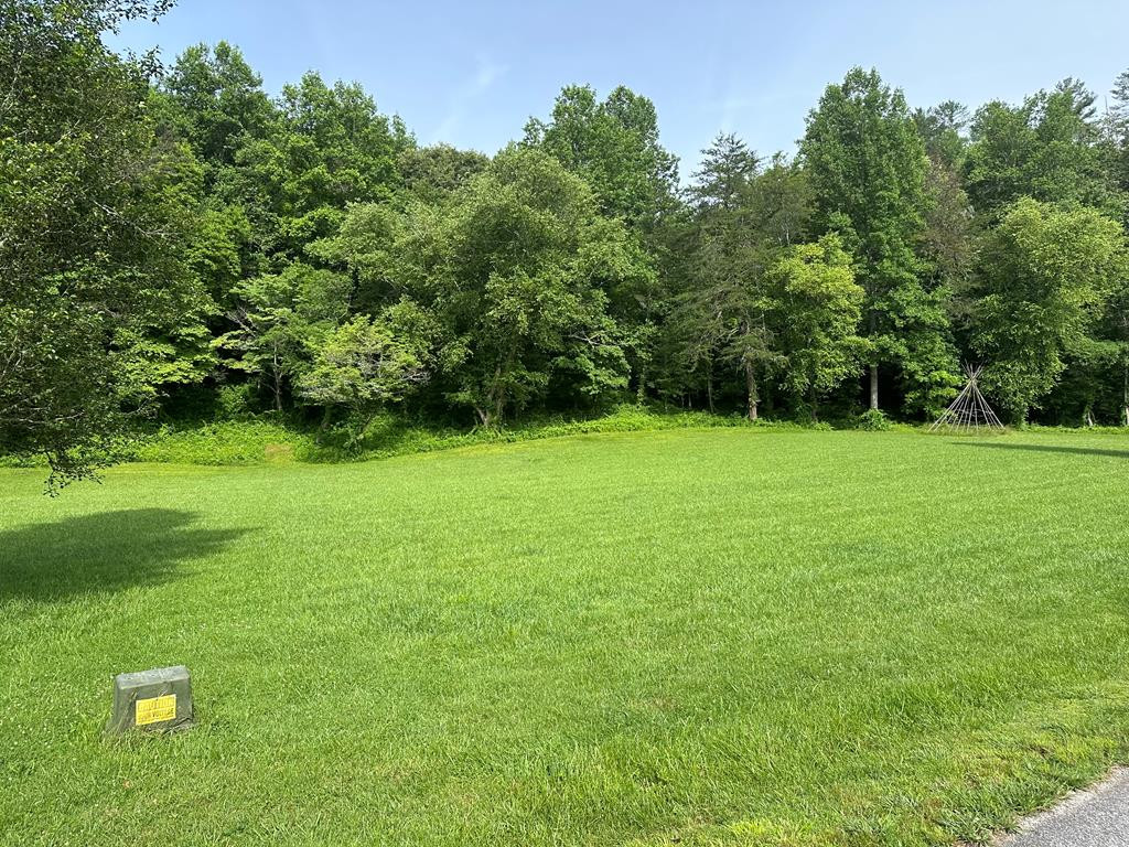 Lot 43 Brasstown Trails Property Photo 8