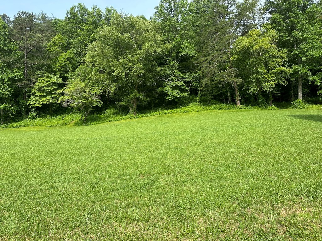 Lot 44 Brasstown Trails Property Photo 3