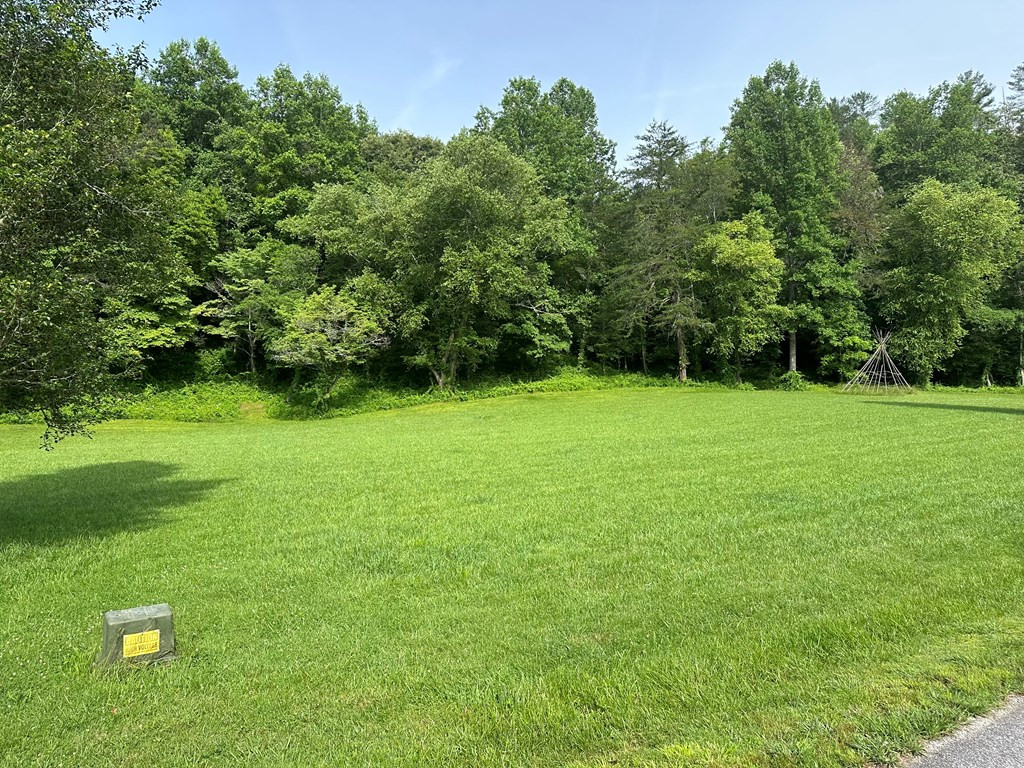 Lot 44 Brasstown Trails Property Photo 4