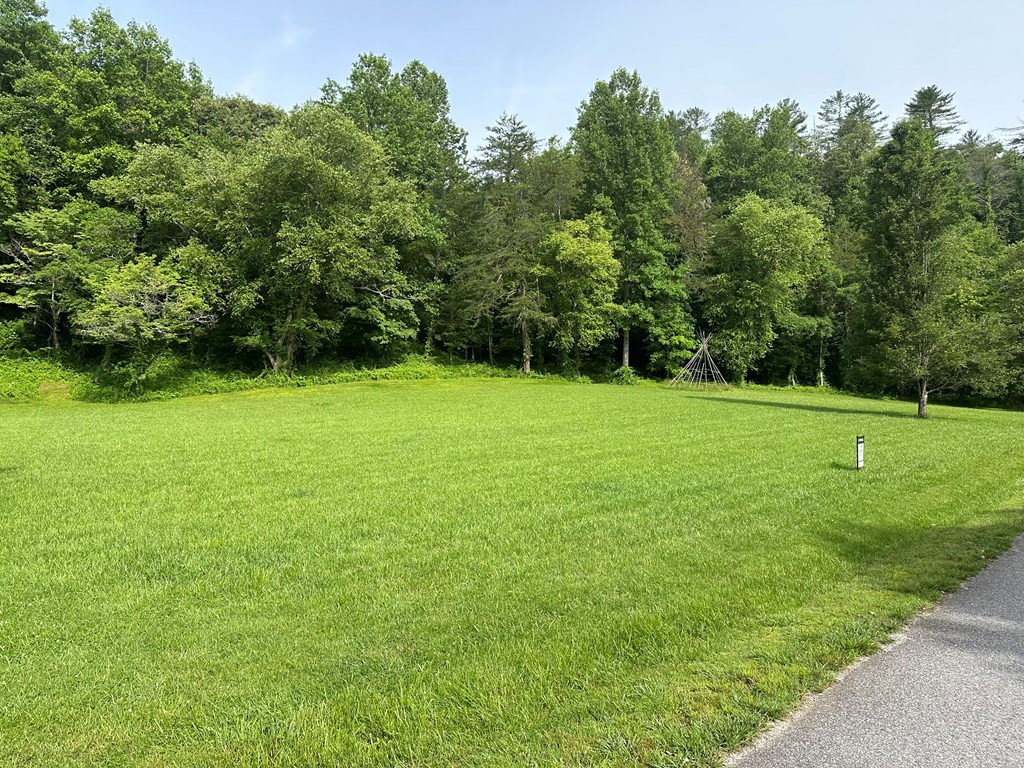 Lot 44 Brasstown Trails Property Photo 6