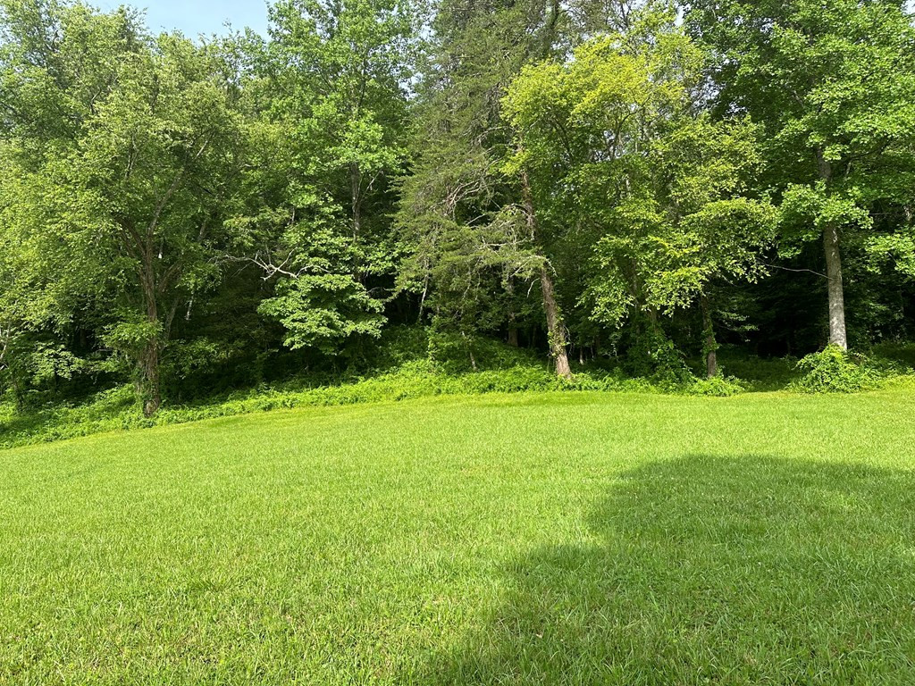 Lot 44 Brasstown Trails Property Photo 8