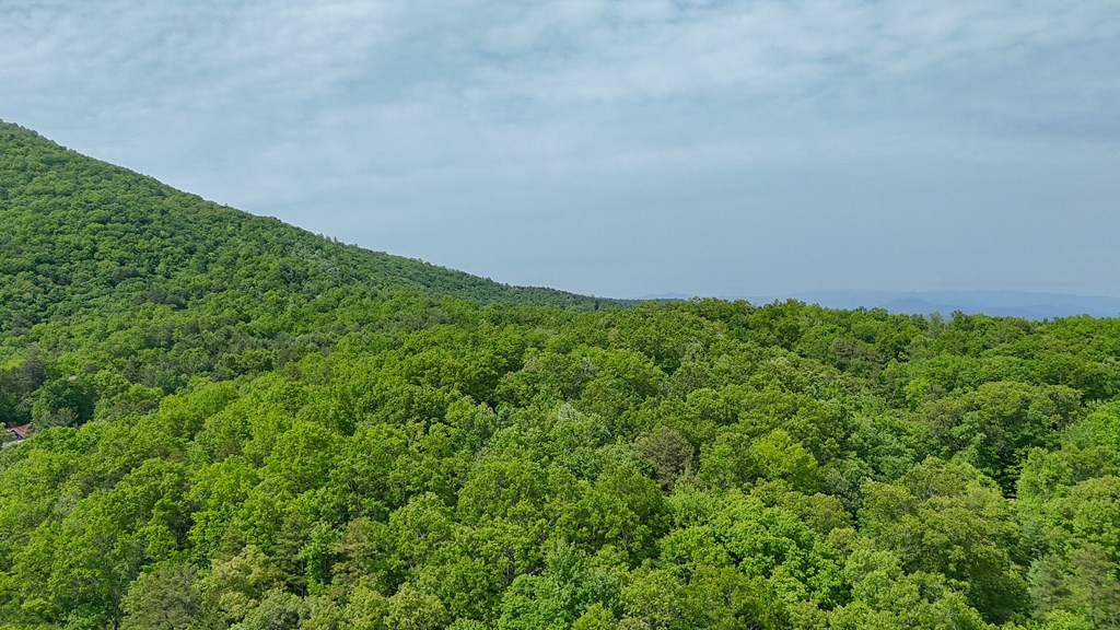 00 Hialeah Way Property Photo 12