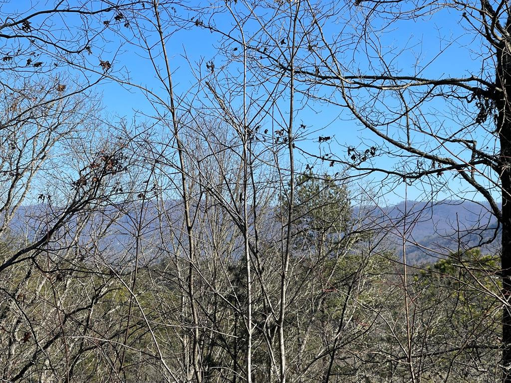 000 Mistletoe Ridge Property Photo 29