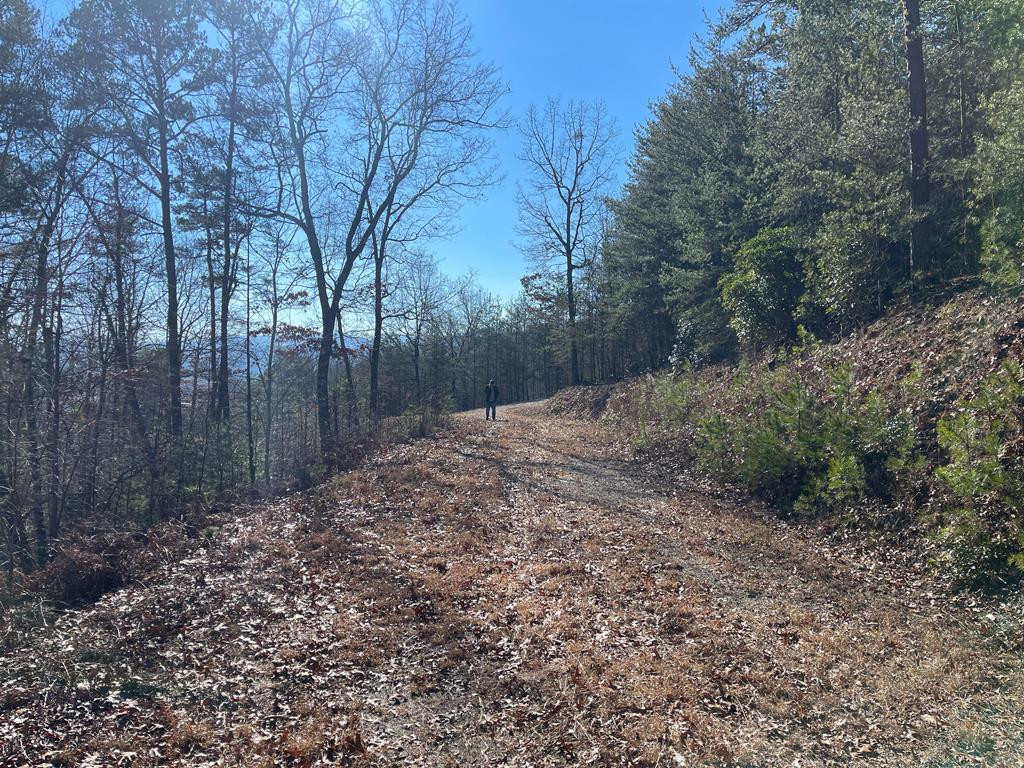 000 Mistletoe Ridge Property Photo 30