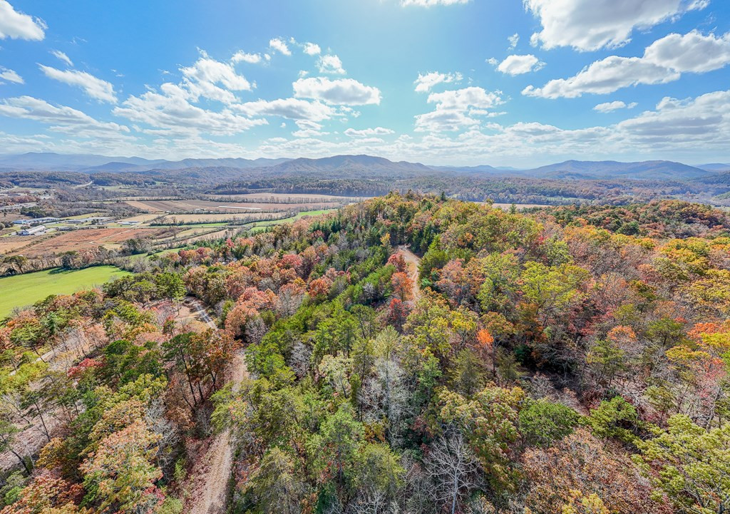 000 Mistletoe Ridge Property Photo 3