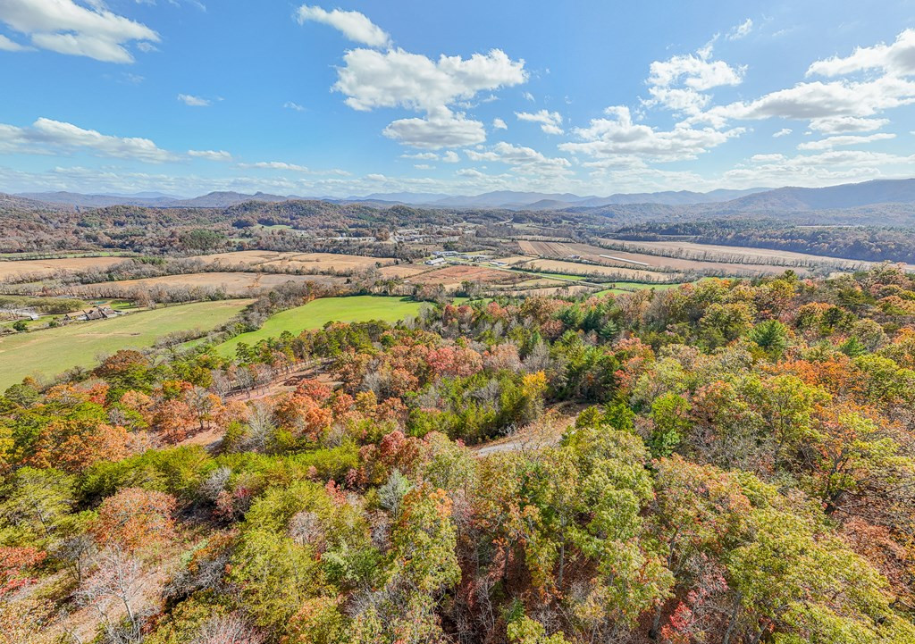 000 Mistletoe Ridge Property Photo 4