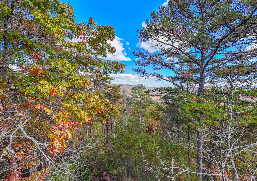 000 Mistletoe Ridge Property Photo 6