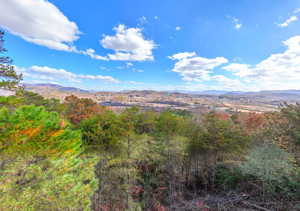 000 Mistletoe Ridge Property Photo 7