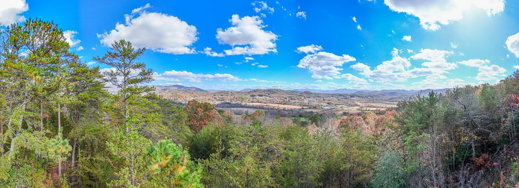 000 Mistletoe Ridge Property Photo 8