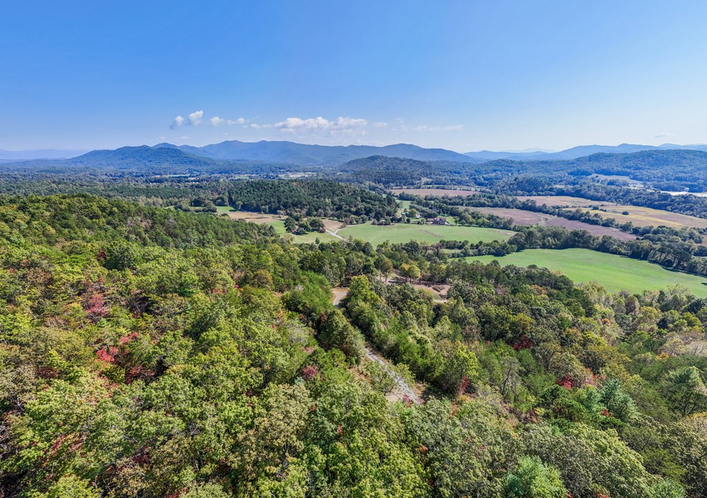 000 Mistletoe Ridge Property Photo 11