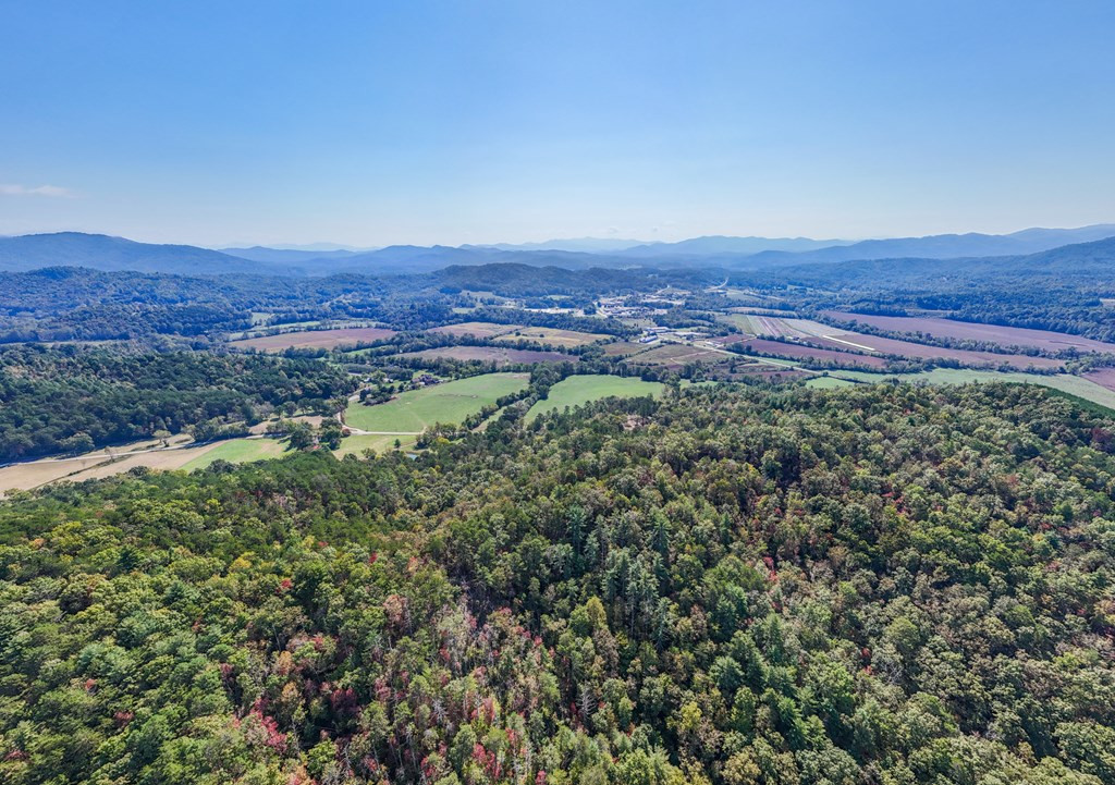 000 Mistletoe Ridge Property Photo 15