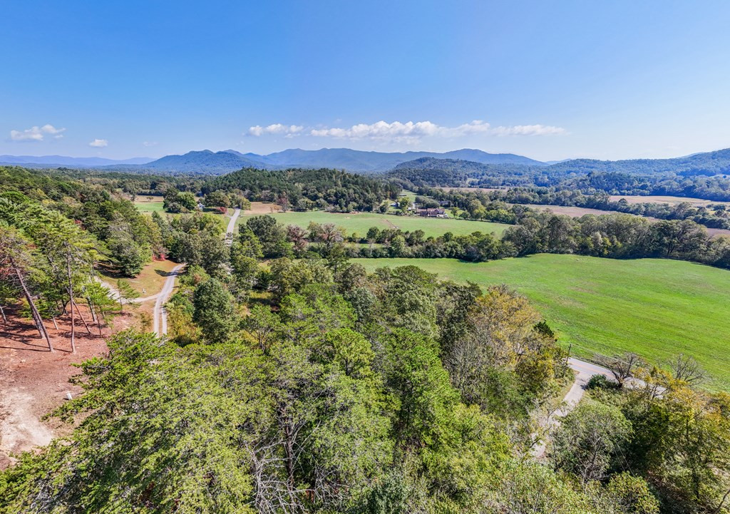 000 Mistletoe Ridge Property Photo 20