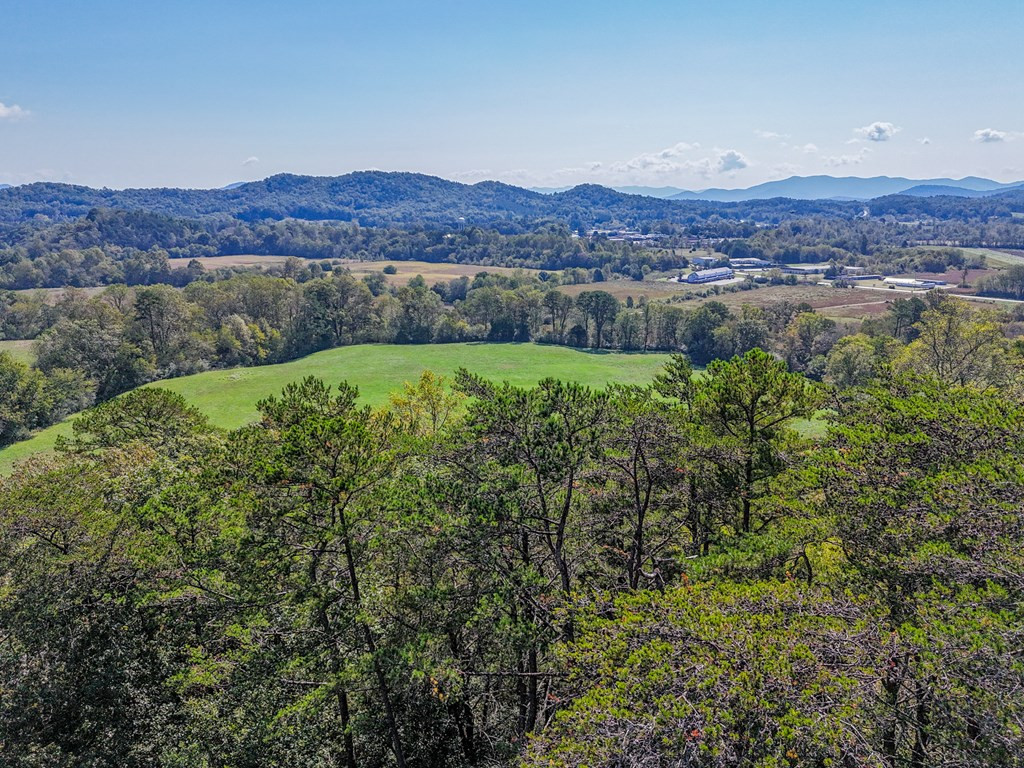 000 Mistletoe Ridge Property Photo 26