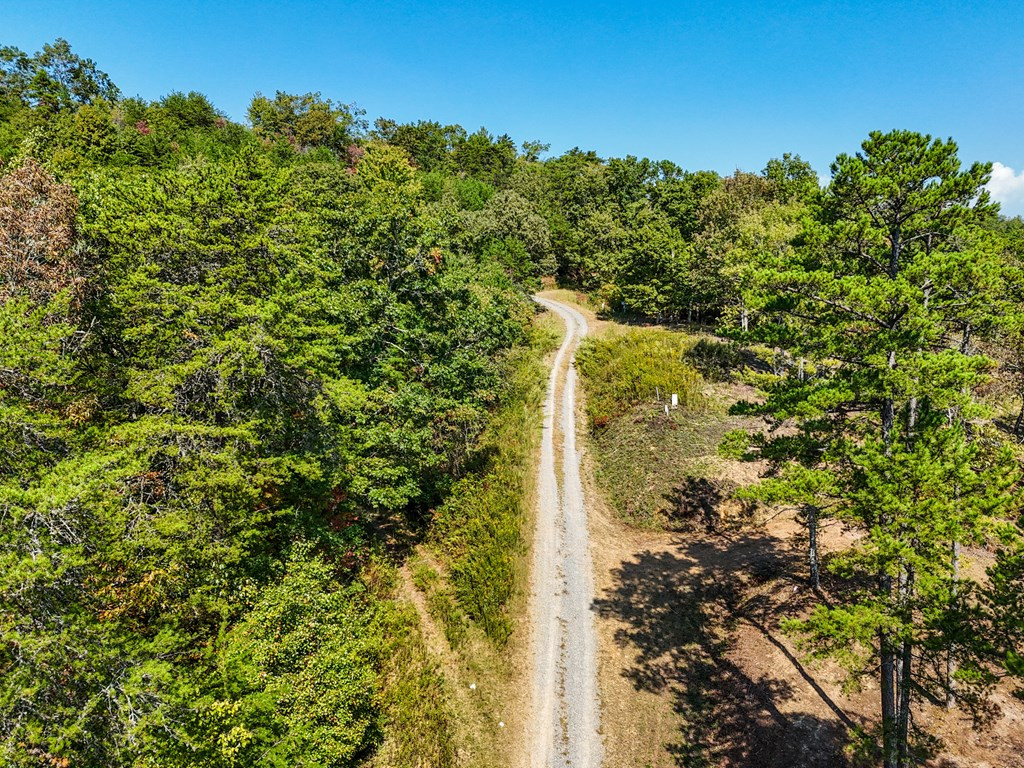 000 Mistletoe Ridge Property Photo 27