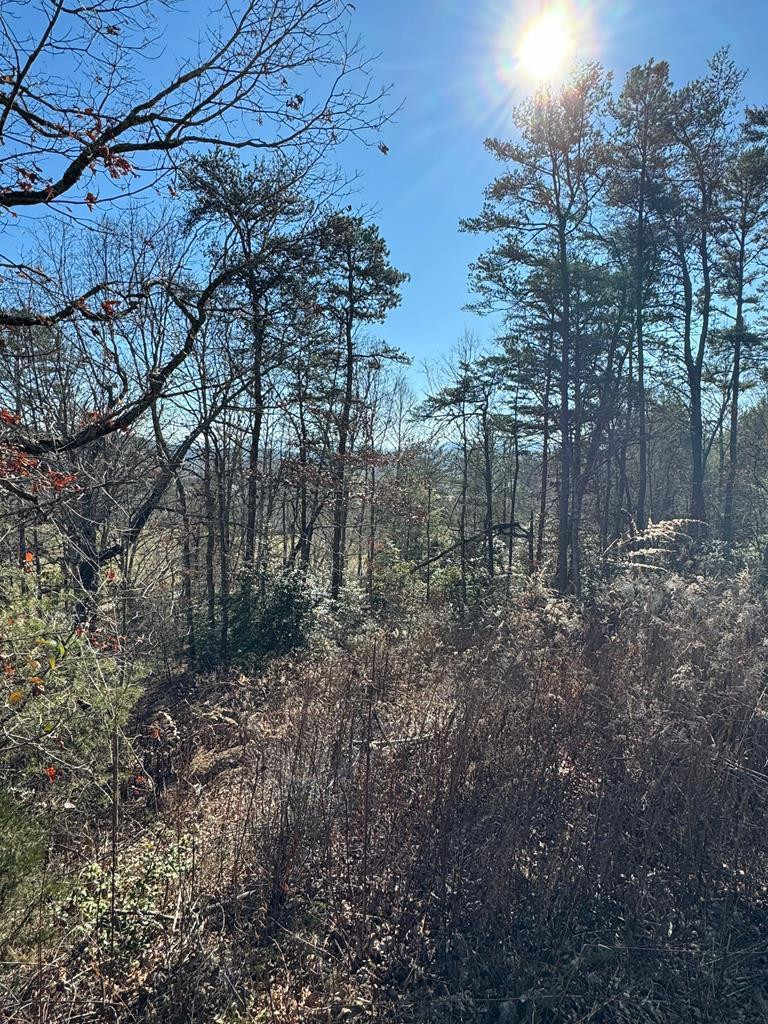 000 Mistletoe Ridge Property Photo 29