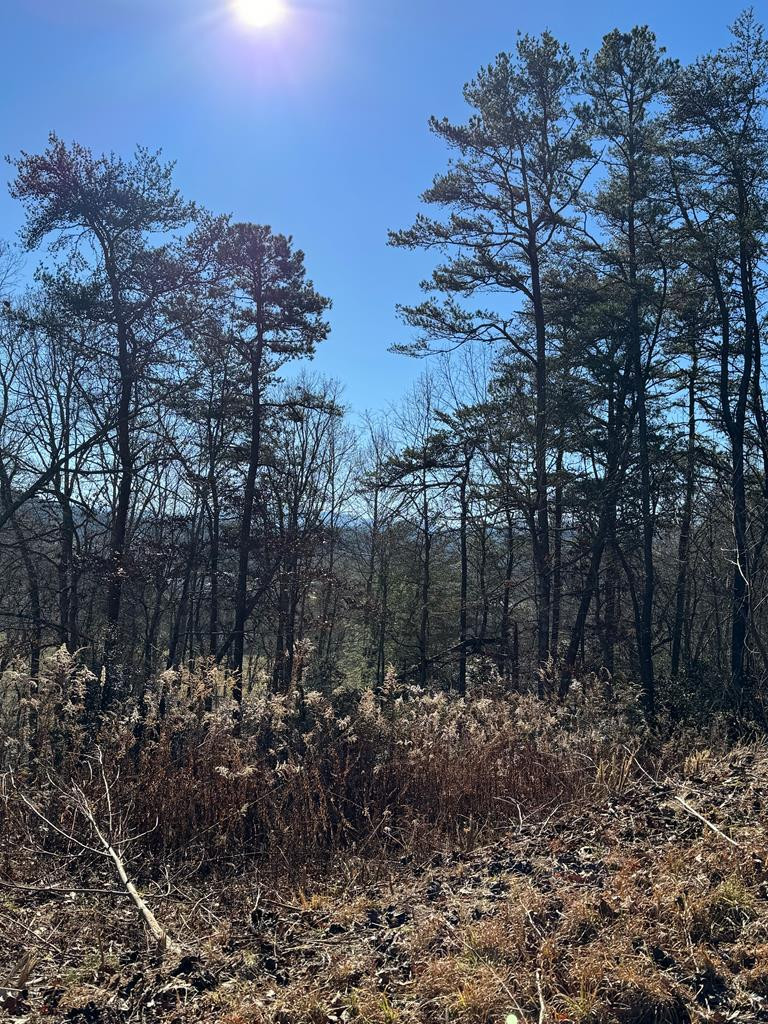 000 Mistletoe Ridge Property Photo 30