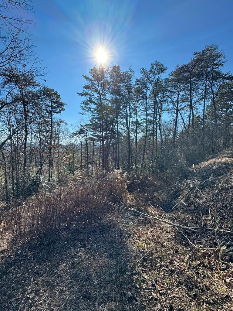 000 Mistletoe Ridge Property Photo 31