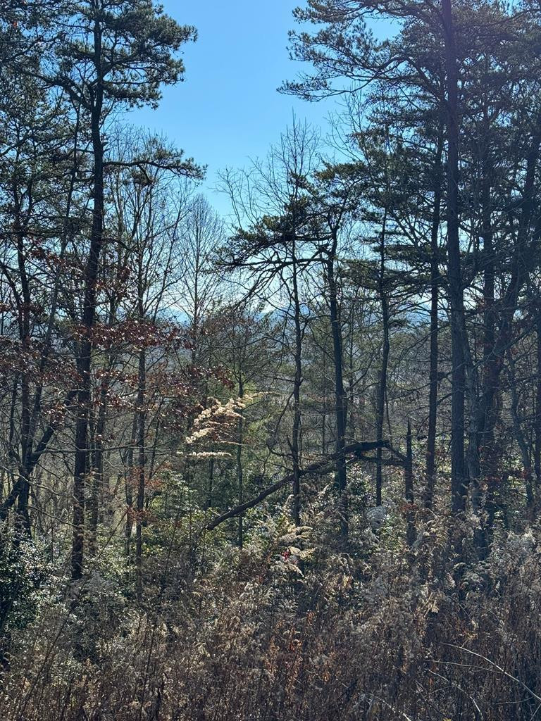000 Mistletoe Ridge Property Photo 32