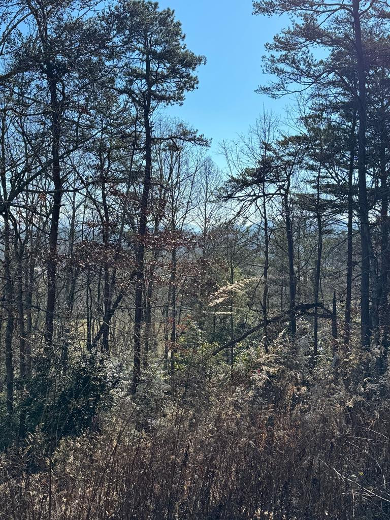000 Mistletoe Ridge Property Photo 33