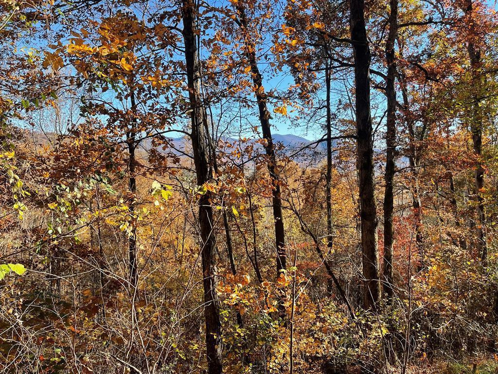36 54c Ash Branch Circle Property Photo 1