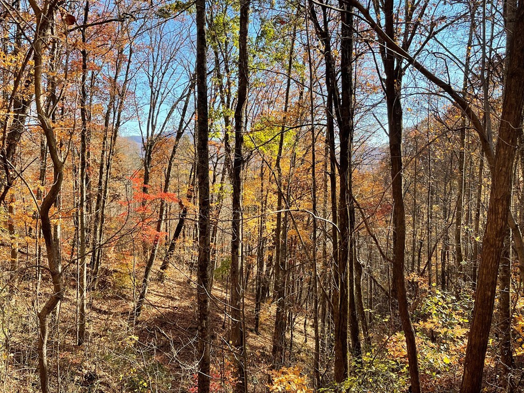 36 54c Ash Branch Circle Property Photo 5