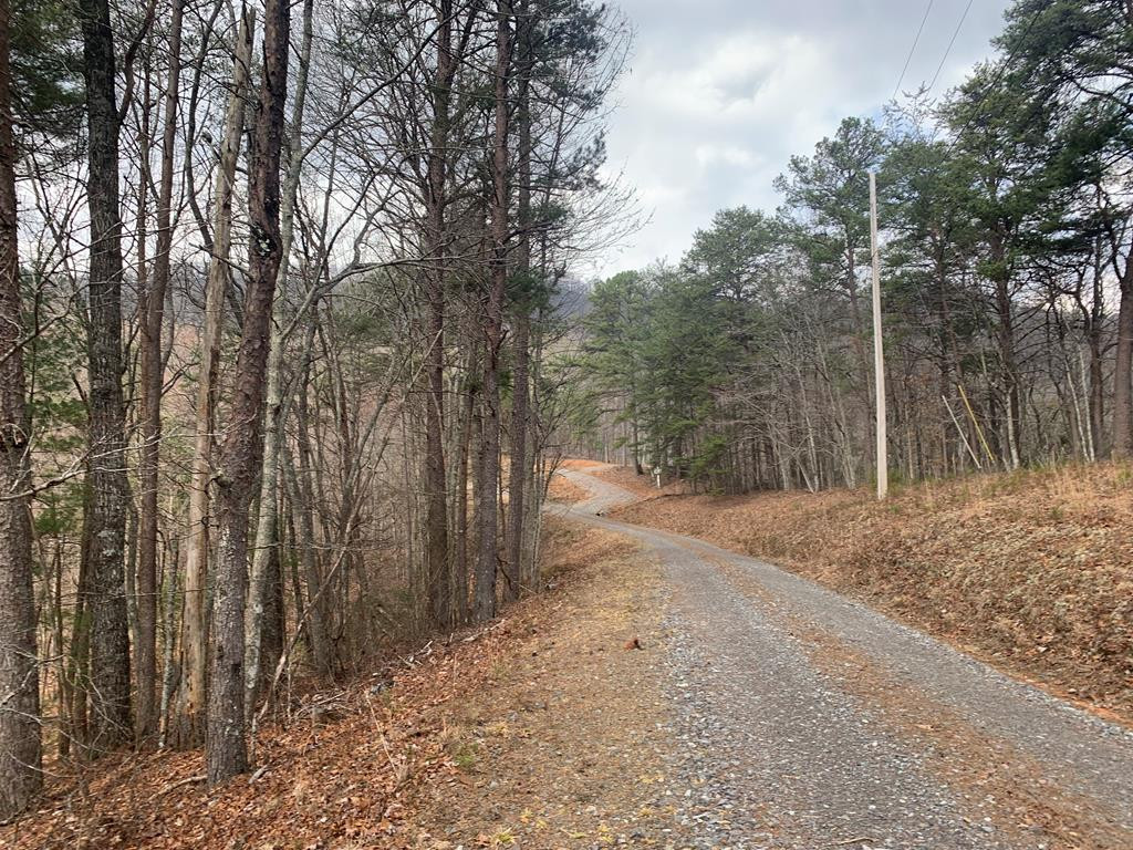 Lot 20 20 Wolf Ridge Lane