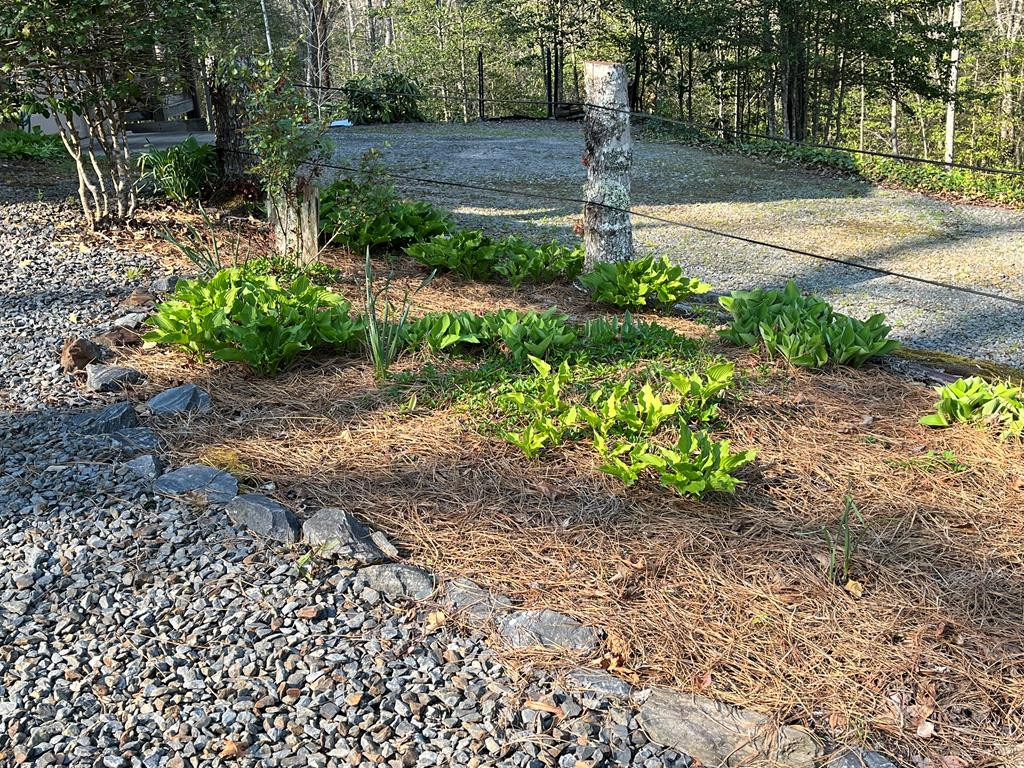 3021 Hanging Dog Road Property Photo 69