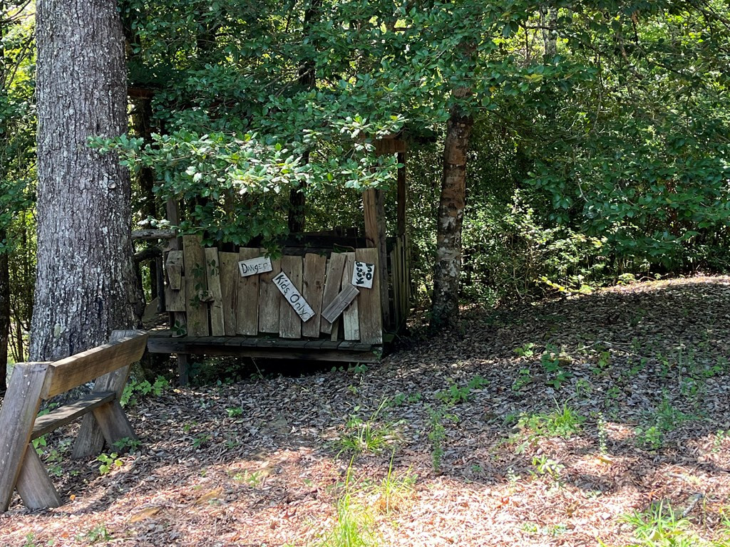 3021 Hanging Dog Road Property Photo 71