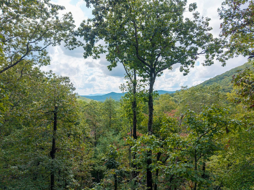205 Copper Mountain Drive Property Photo 2