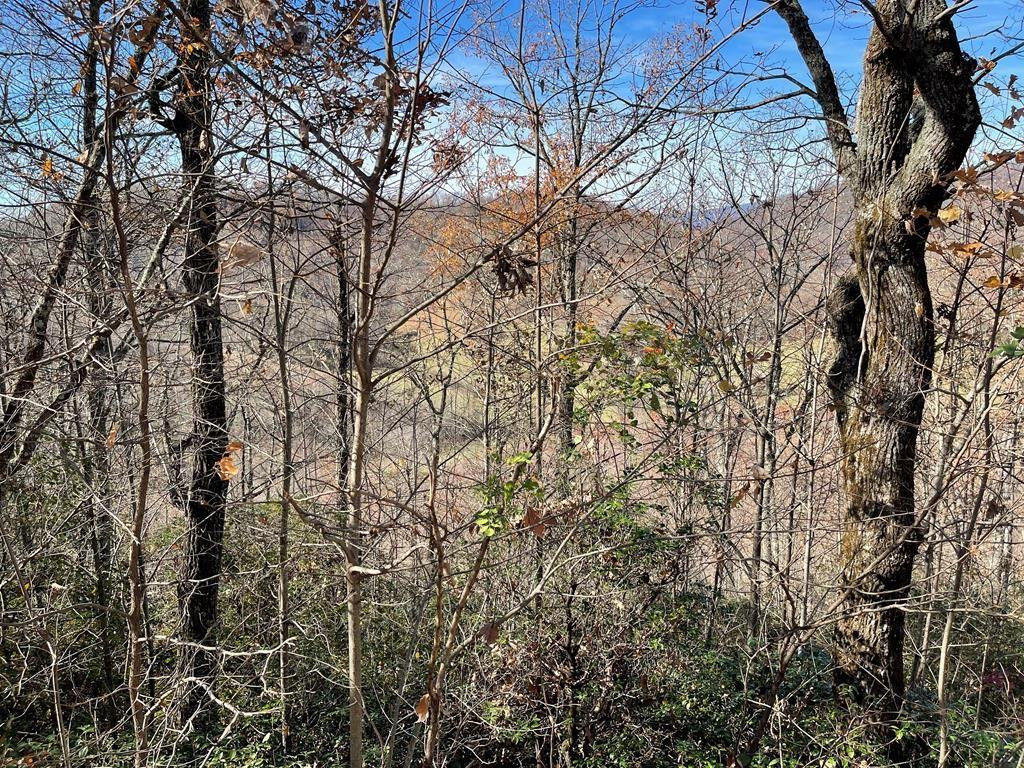 Lot 31j 31j Ash Branch Road Property Photo 1