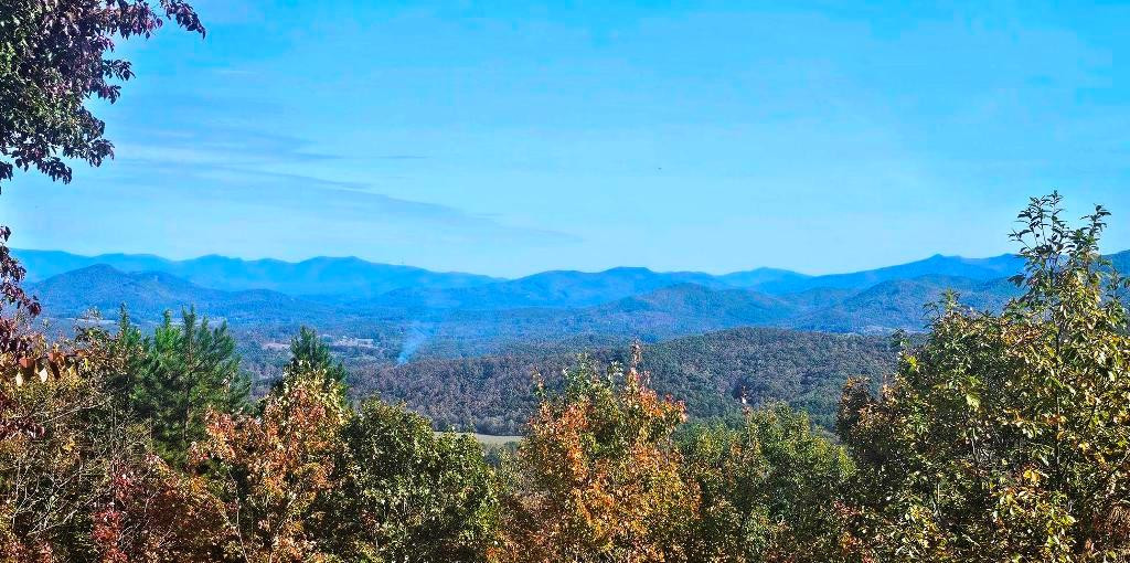 339 Game Trail Drive Property Photo 9
