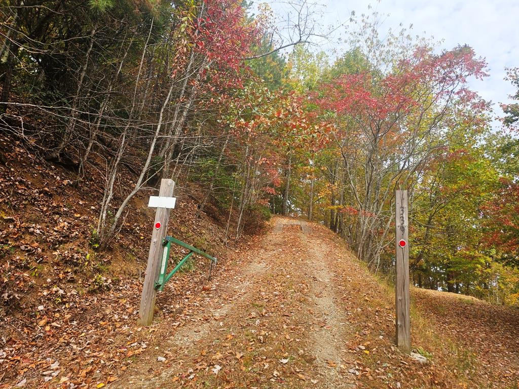 339 Game Trail Drive Property Photo 44