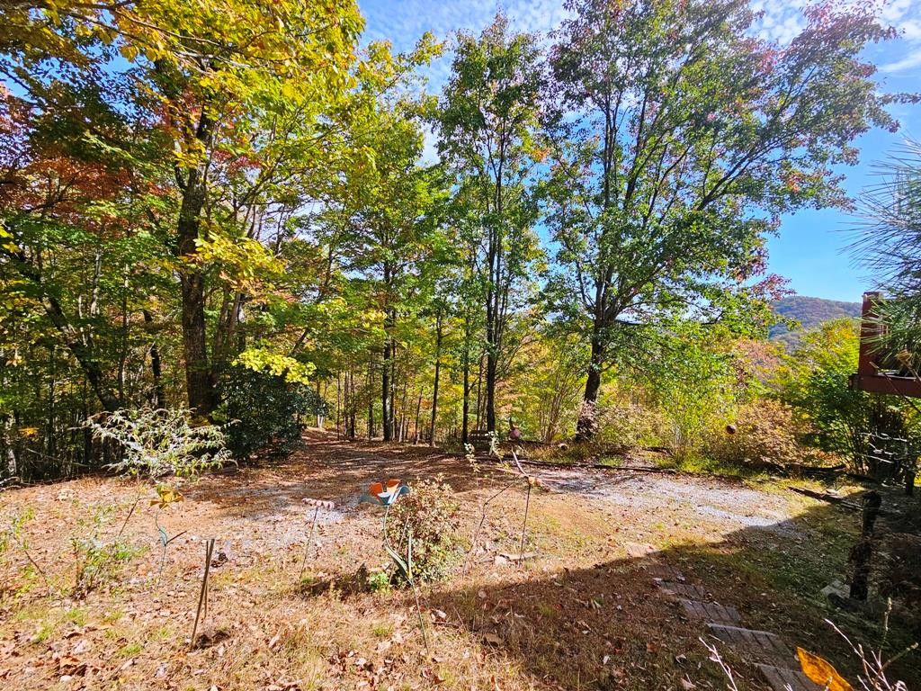 339 Game Trail Drive Property Photo 48