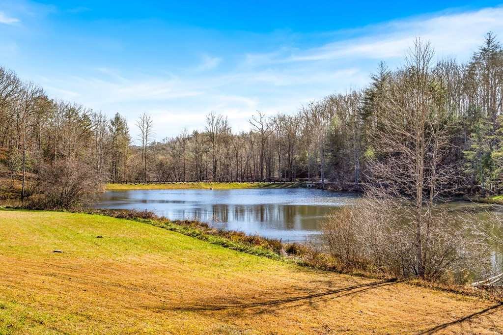 56 Cross Creek Trail Property Photo 43