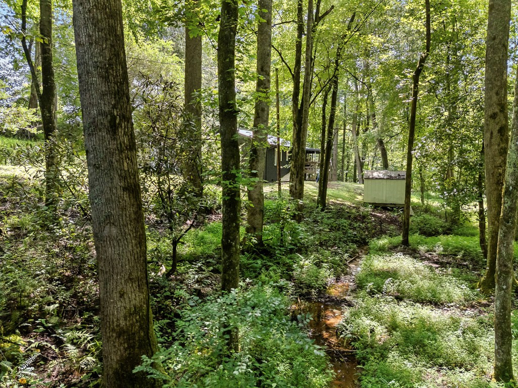 123 Quarry Road Property Photo 53