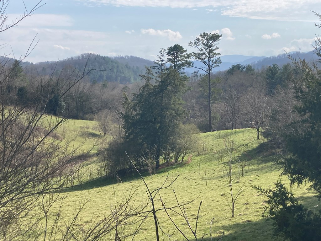 227 Siler Road Property Photo 3