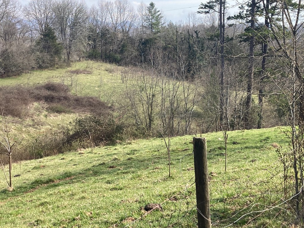 227 Siler Road Property Photo 13