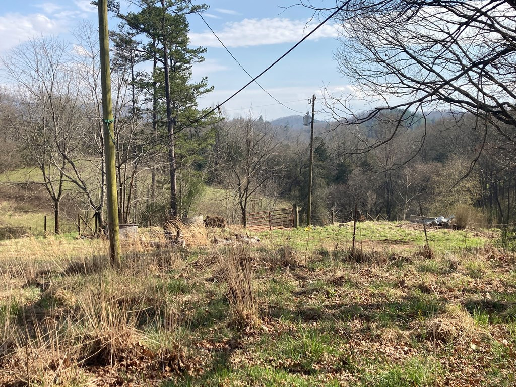 227 Siler Road Property Photo 17