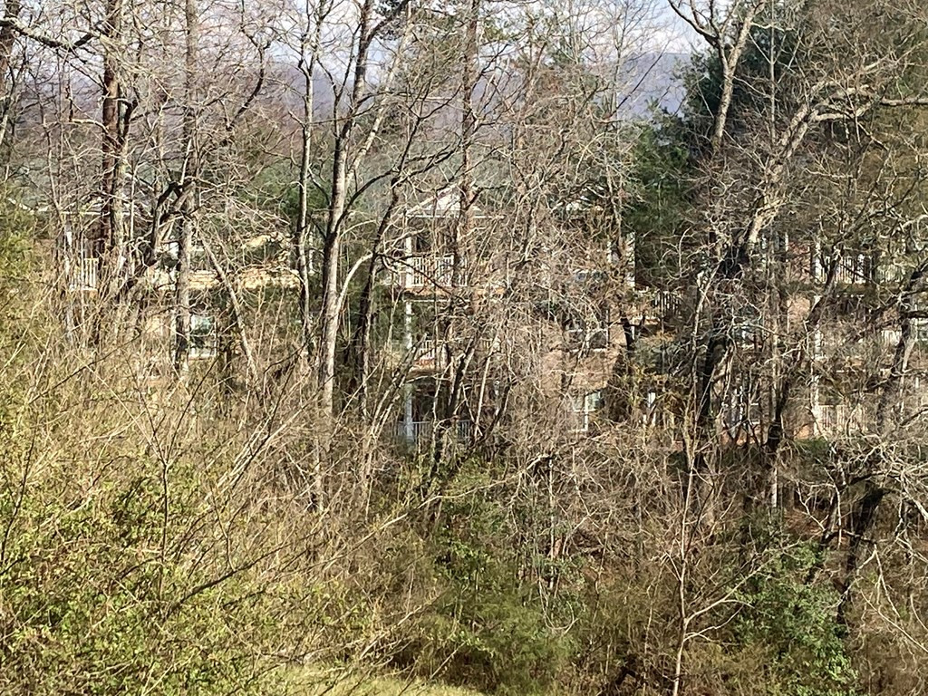 227 Siler Road Property Photo 18