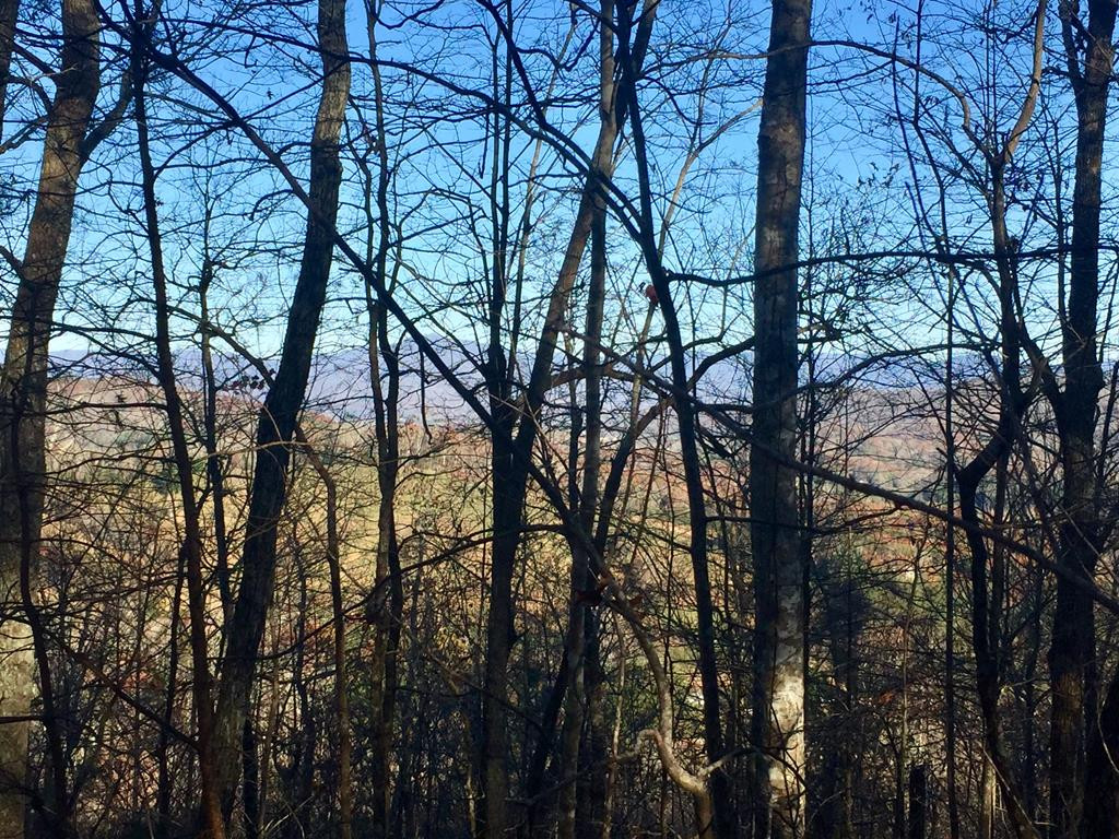 44+/-ac. Chilson Road Property Photo 1