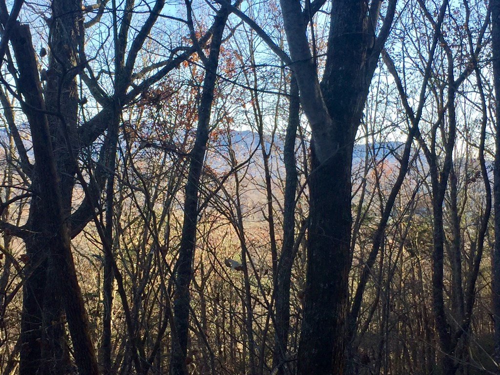 44+/-ac. Chilson Road Property Photo 2