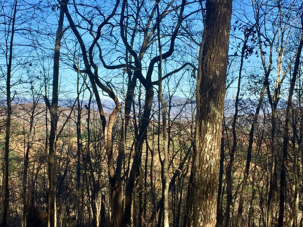 44+/-ac. Chilson Road Property Photo 3
