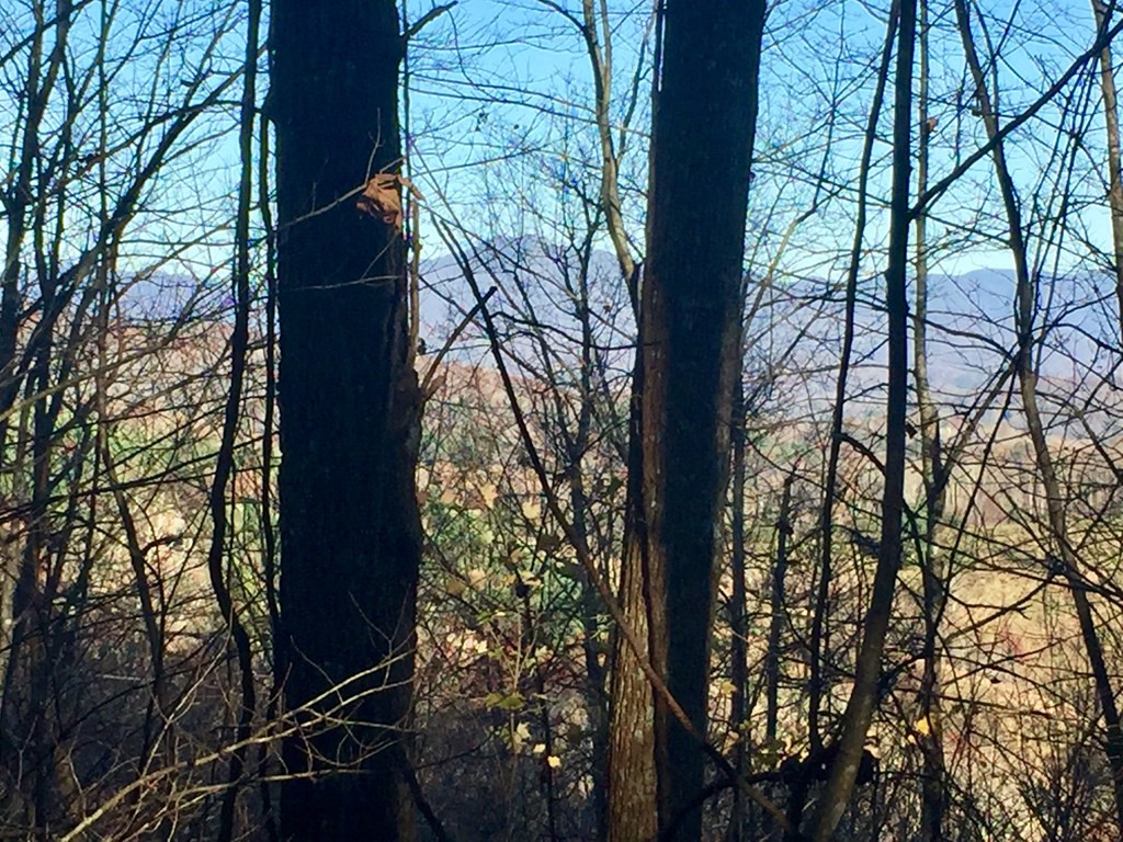 44+/-ac. Chilson Road Property Photo 4